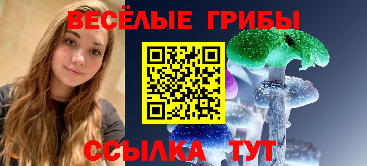 Галлюциногенные грибы MAGIC MUSHROOMS  Вход с VPN  Ишим 